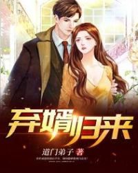 《弃婿归来》