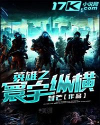 《英雄之寰宇纵横》