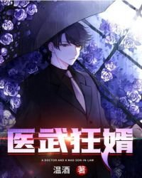 《医武狂婿》