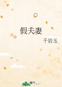 《假夫妻》