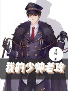 《我的少帅老攻》