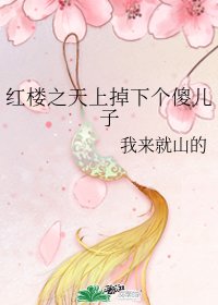 (红楼梦同人)红楼之天上掉下个傻儿子