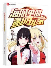 《海贼里的满级玩家》