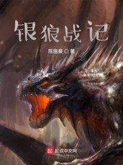 《(手游锁链战记同人)银狼战记》