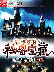 《((HP同人)哈利波特与秘密宝藏》