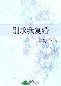 《别求我复婚》