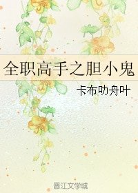 （BG/全职同人）全职高手之胆小鬼