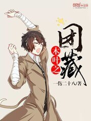《木叶之团藏》