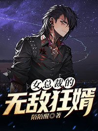《女总裁的无敌狂婿》