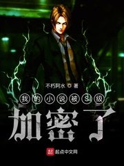 《我的被S级加密了》