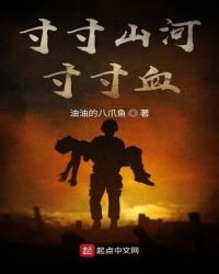 《寸寸山河寸寸血》