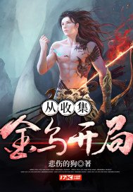 《从收集金乌开局》