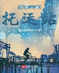 《我有一家托运站》