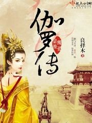 《独孤皇后伽罗传》
