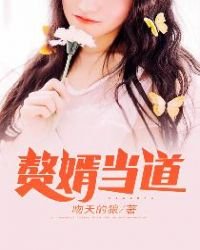 《神级狂婿》
