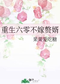 《重生六零不嫁赘婿》