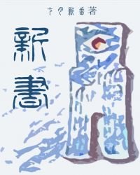 《新书》