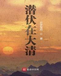 《潜伏在大清》