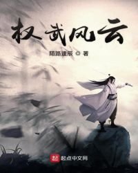 权武风云