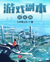 《游戏副本供应商》