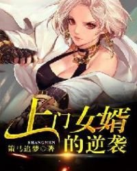 《上门女婿的逆袭》