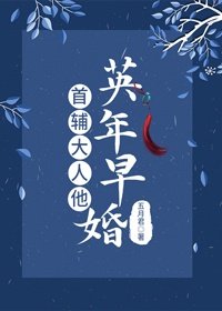 《首辅大人他英年早婚》