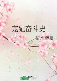 《宠妃奋斗史》