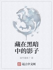 《藏在黑暗中的影子》