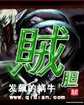 《贼胆》