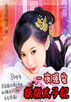 《后宫惊华:妖娆太子妃》