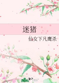 《迷猪》