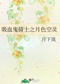 《吸血鬼骑士之月色空灵》
