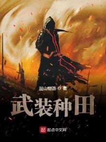 《武装种田》