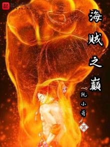 《海贼之巅》