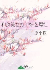 《和顶流在打工综艺爆红》