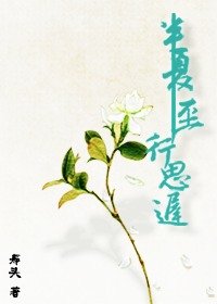 《半夏至,行思迟(gl)》