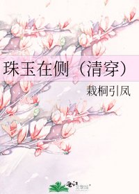 《珠玉在侧(清穿)》