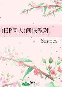 (HP同人)间谍派对