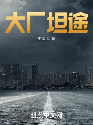 《大厂坦途》