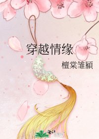 《穿越情缘》