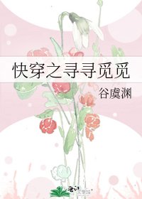 快穿之寻寻觅觅