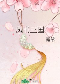 凤书三国