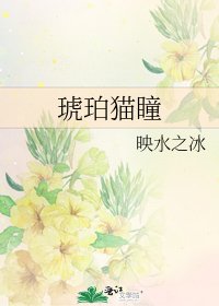《琥珀猫瞳》