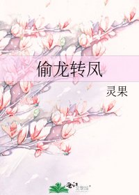 《偷龙转凤》
