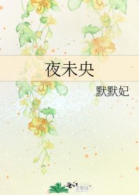 《夜未央》