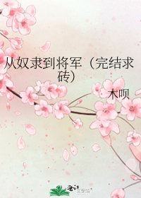 从奴隶到将军（求砖）