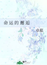 命 运 的 邂 逅