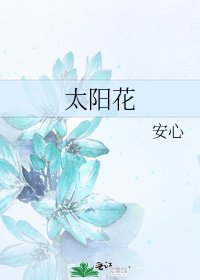 《太阳花》