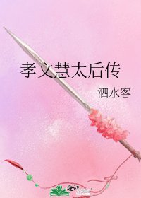 《孝文慧太后传》