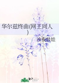 《华尔兹终曲(网王同人)》